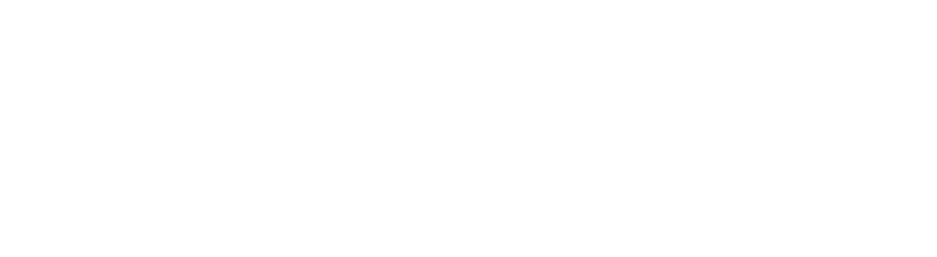 Vozian